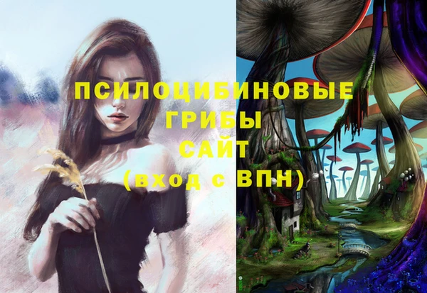 индика Остров