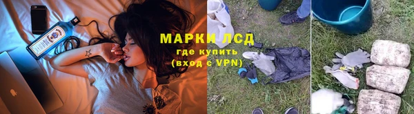 шишки Армянск